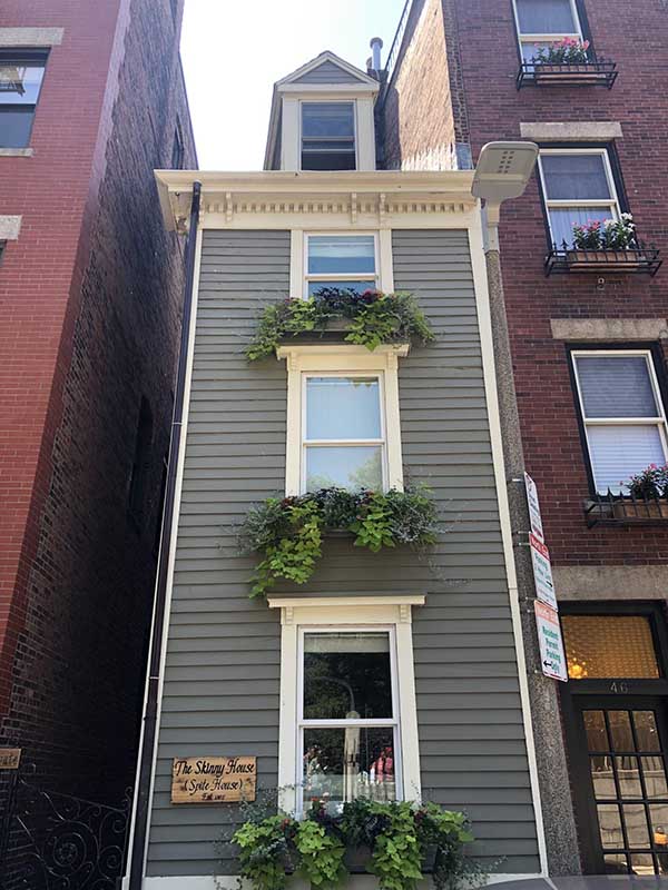 Skinny house