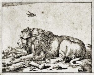 Lion-sketch-by-Marcus-De-Bye-Marcus-Dutch-artist