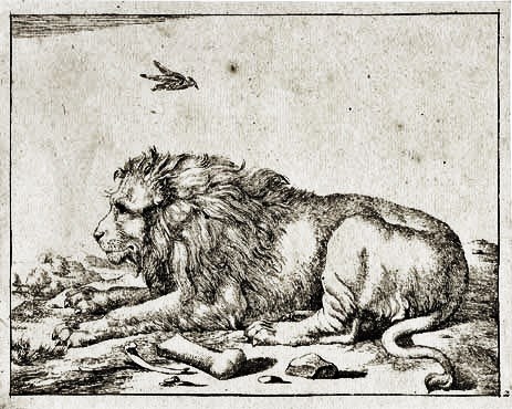 First Lion in America
